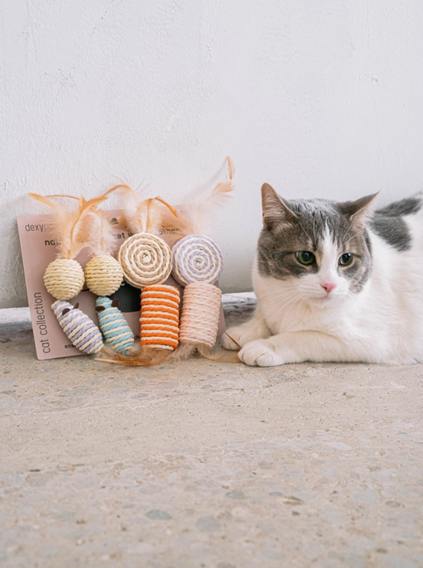 CAT 8-PIECE SISAL & FEATHER SET by Dexy Paws